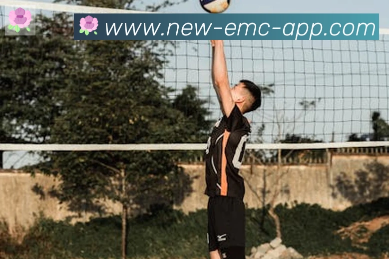 EMC易倍体育品牌故事